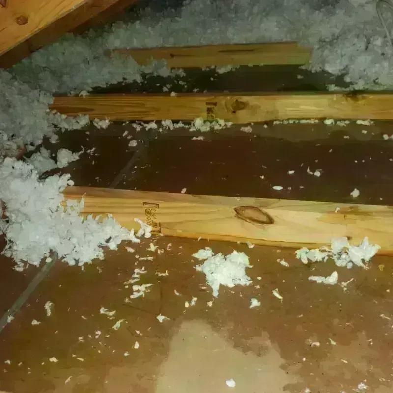 Attic Water Damage in Union, NJ